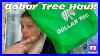 Dollar-Tree-Haul-Plus-Bonus-Footage-February-5-2024-01-qnm