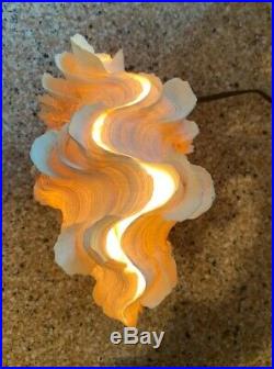Tridacna Squamosa Gigas Fluted Clam Shell LIGHT Vintage GORGEOUS