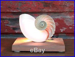Vintage c. 1950's Nautilus Shell Accent Lamp / Night Light Nautical Seaside